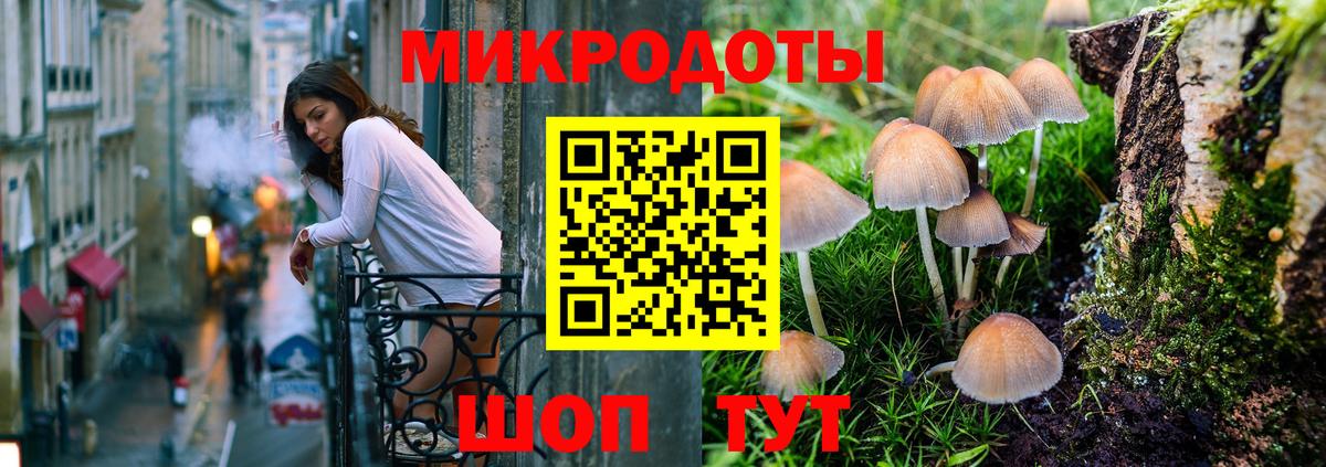 Галлюциногенные грибы Psilocybine cubensis Архангельск